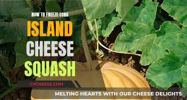 Freezing Long Island Cheese Squash: A Step-by-Step Guide