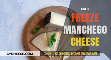 Mastering Manchego: A Simple Guide to Freezing Your Cheese