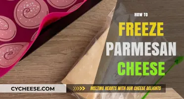 The Best Way to Freeze Parmesan Cheese