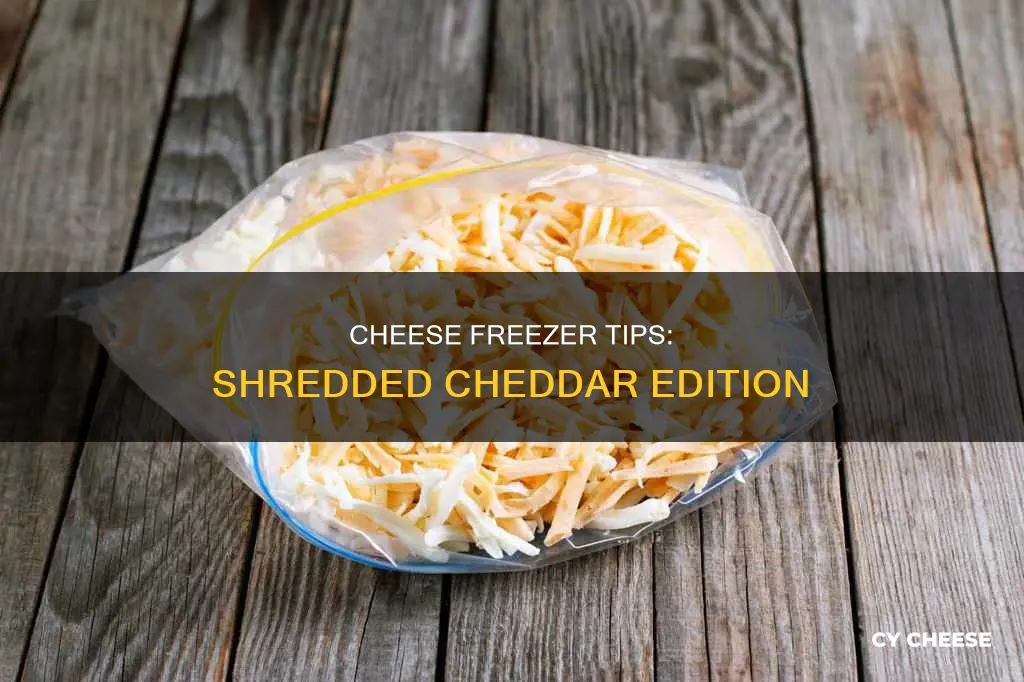 how to freeze shredded cheddar cheese