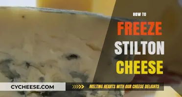 Mastering Stilton Storage: A Guide to Freezing Blue Cheese