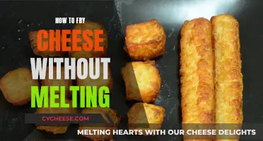 Fry Cheese, No Melt: Tips and Tricks