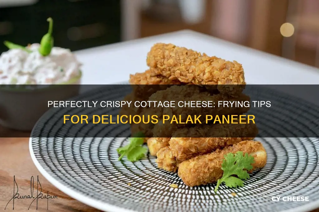how to fry cottage cheese for palak paneer