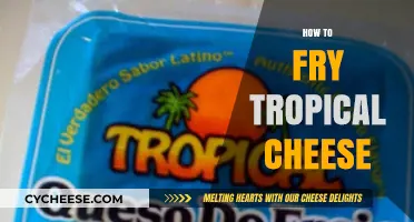 Mastering the Art of Frying Tropical Cheese: Tips and Tricks