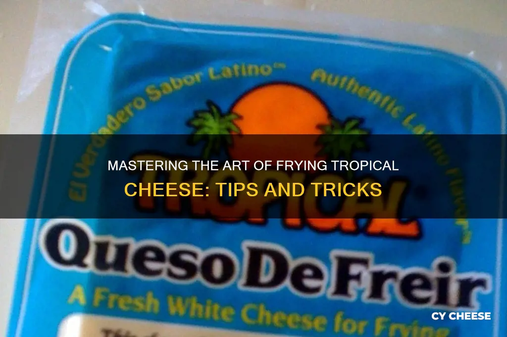 how to fry tropical cheese