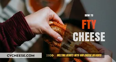 Master the Art of Making Perfectly Melted Cheesy Delights