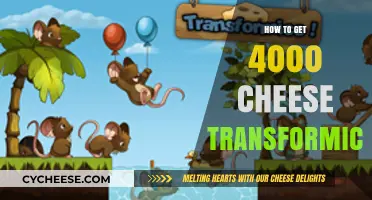Cheese Galore: Easy Ways to Earn 4000 in Transformice