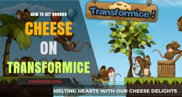 Cheese Farming Guide: 999,999 in Transformice