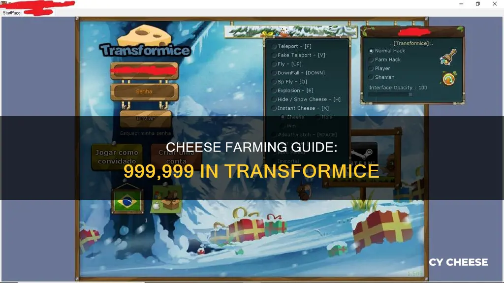 how to get 999999 cheese on transformice