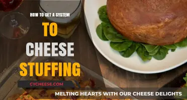 A Tasty Guide to System Cheese Stuffing