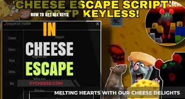 Cheese Escape: Unlocking All Keys to Success