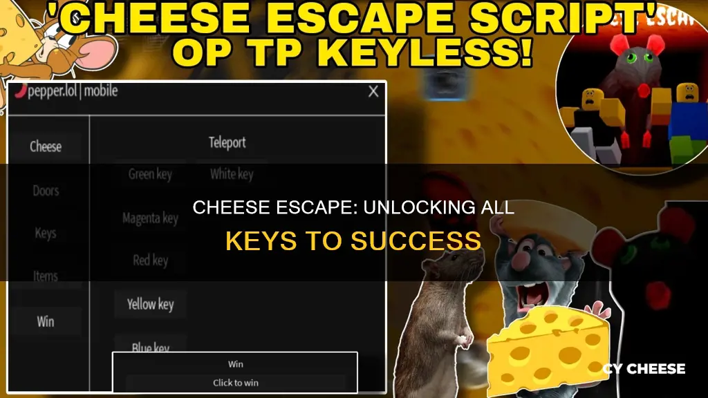 how to get all keys in cheese escape