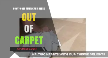 Removing American Cheese Stains from Your Carpet