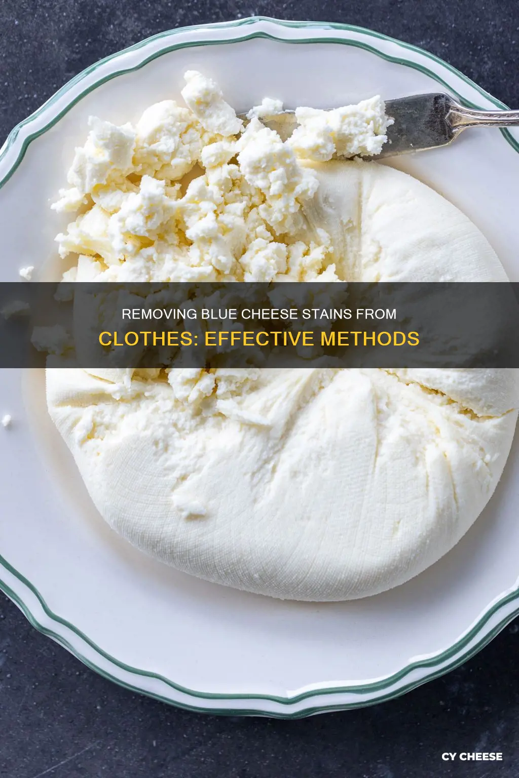 how to get blue cheese out of clothes