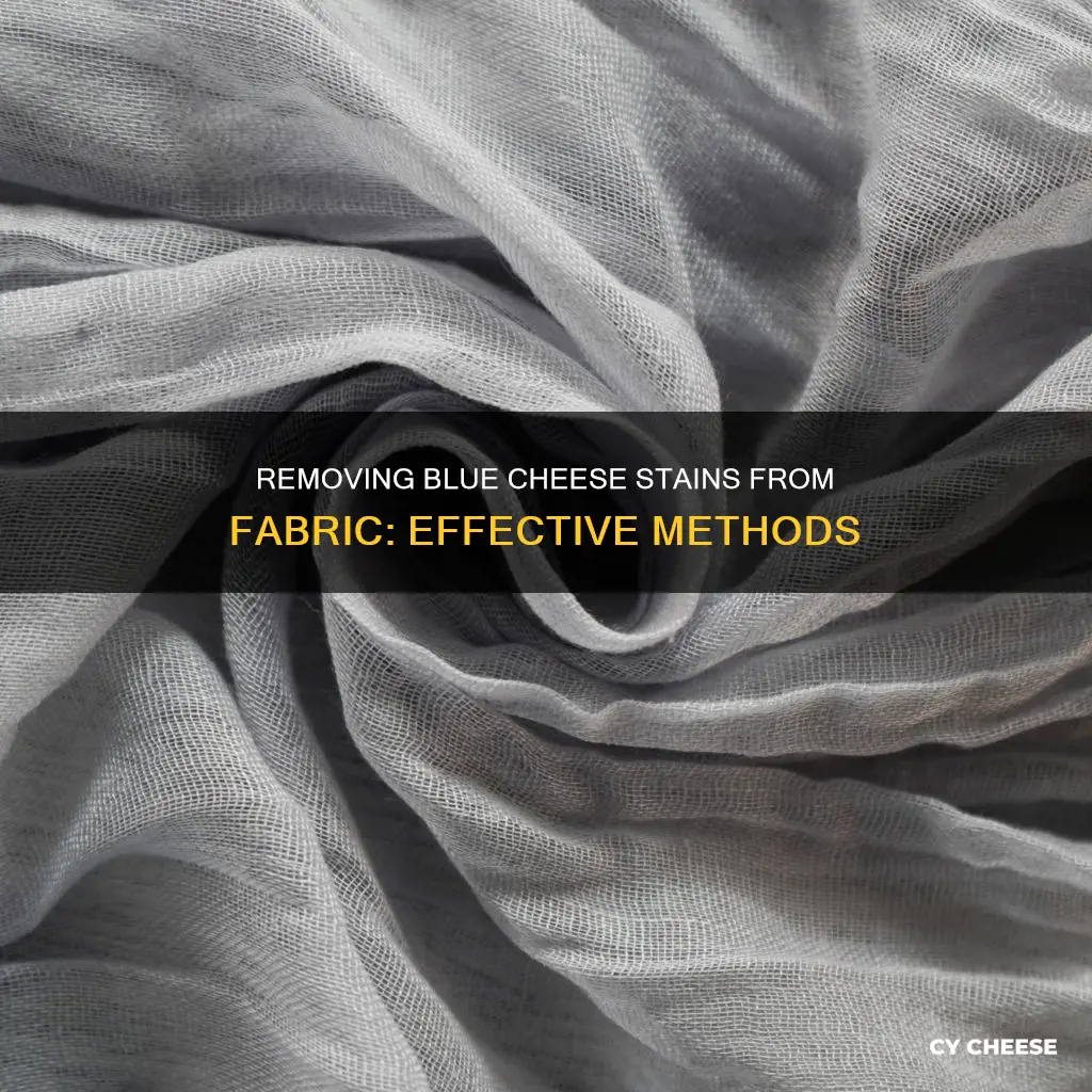 how to get blue cheese out of fabric