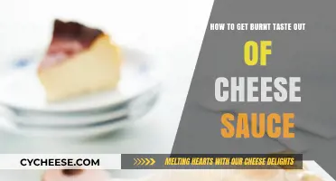 Removing Burnt Taste from Cheese Sauce