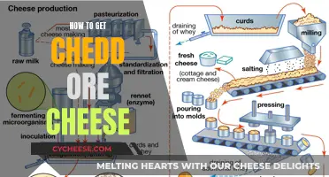 Mastering Cheddar: Tips for the Perfect Cheesy Delight