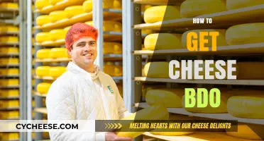Guide to Obtaining Cheese in BDO