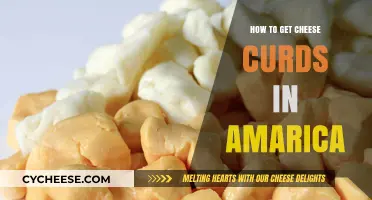 Get Cheese Curds in America: The Ultimate Guide