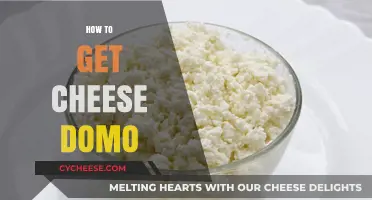 Unlocking the Cheese Domo: A Guide to Success