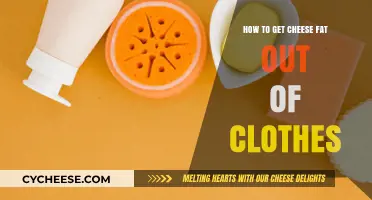 Removing Cheese Stains: A Quick Guide to Saving Your Clothes