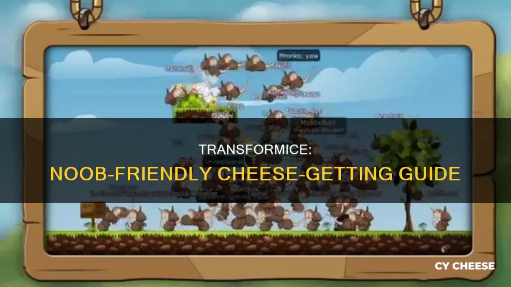 how to get cheese for noobs in transformice