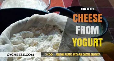 Transforming Yogurt into Cheese: A Simple Guide