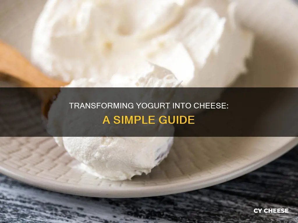 how to get cheese from yogurt