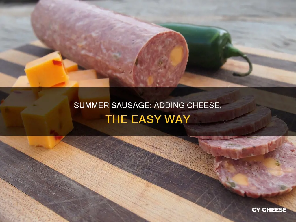 how to get cheese in summer sauasage
