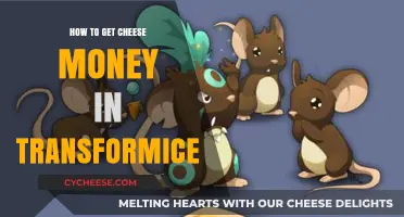 Getting Rich in Transformice: Cheese Money Tips