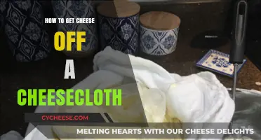 Removing Cheese from Cheesecloth: Effective Techniques
