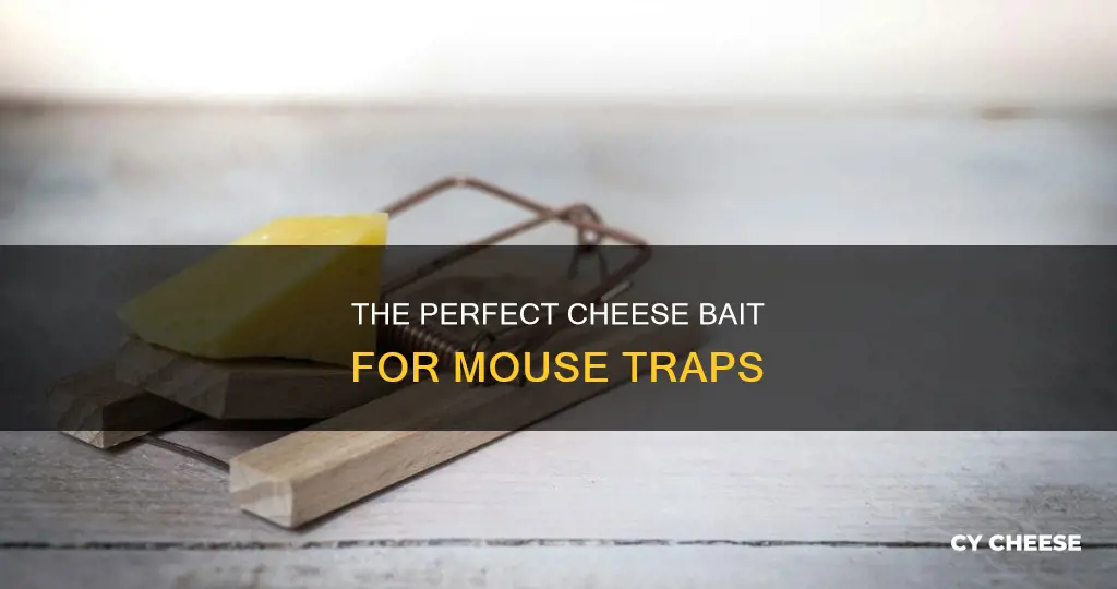 how to get cheese on mouse trap