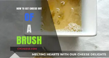 Easy Ways to Remove Cheese from Brushes