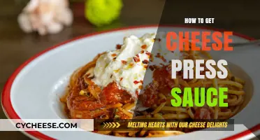 Cheese Press Sauce: Getting That Perfect Texture