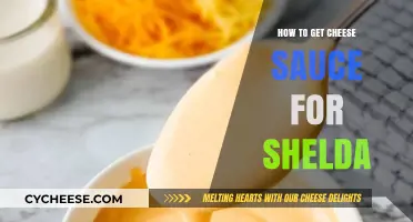 The Perfect Cheese Sauce for Shells: Quick and Easy