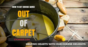 Removing Cheese Sauce Stains from Carpet: A Step-by-Step Guide