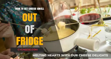Eliminating Lingering Cheese Odor from Your Refrigerator