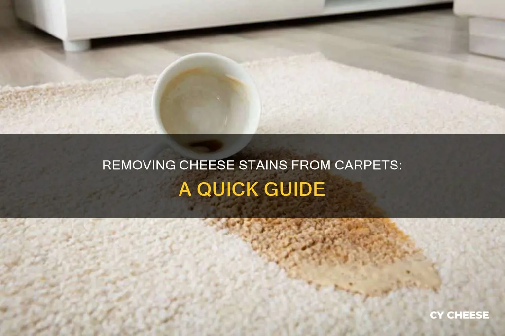 how to get cheese stain out of carpet