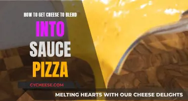 Cheese Sauce Pizza: Blending Tips for a Perfect Pie