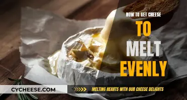 The Art of Melting Cheese Evenly: Tips and Tricks