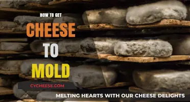 Moldy Cheese: A Guide to Getting Cheese to Mold