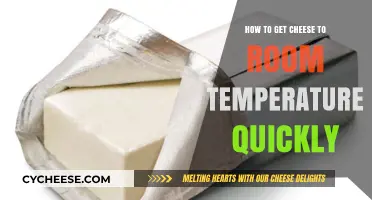 Getting Cheese to Room Temperature: Quick Methods