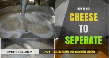 The Art of Cheese Separation: Techniques for Success