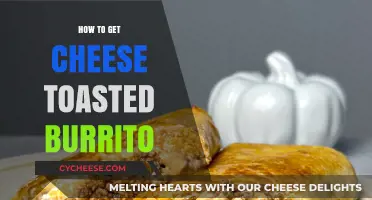 The Perfect Toasted Cheesy Burrito: Quick Guide