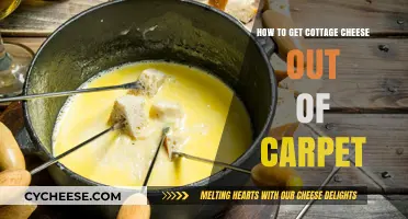 Effective Tips for Removing Cottage Cheese Stains from Your Carpet