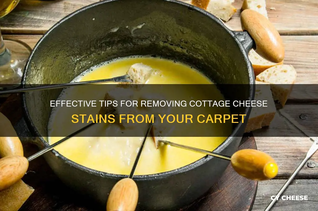 how to get cottage cheese out of carpet