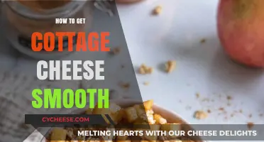 Achieve Creamy Cottage Cheese Smoothness: Simple Blending Techniques Revealed