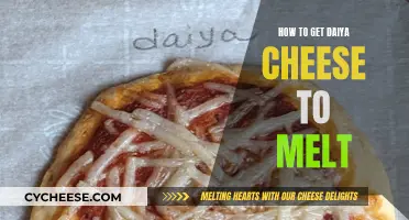 Melting Daiya Cheese: Tips and Tricks for Success