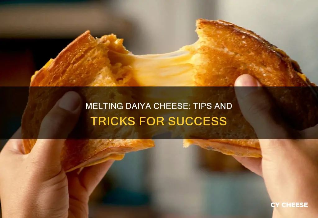 how to get daiya cheese to melt