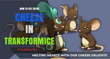 Get Extra Cheese in Transformice: Tips and Tricks